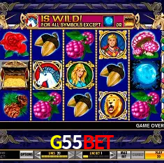 G55BET Rio de Janeiro - Bonus Terms